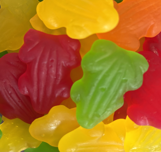 Tropical Frogs